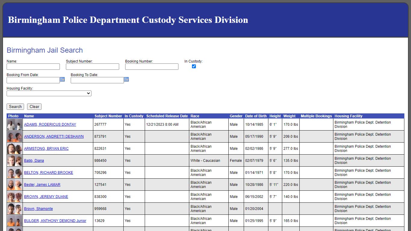Birmingham Jail Search